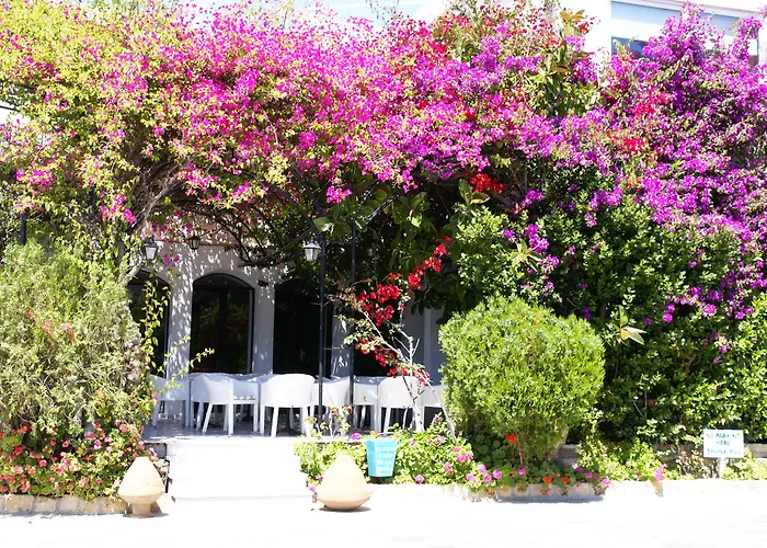Skala Hotel 3* Skala (Patmos)